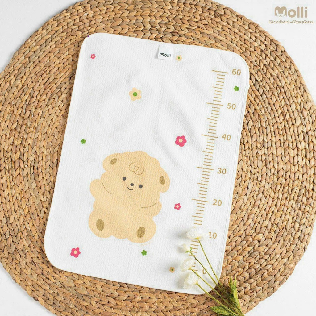 Tấm lót chống thấm Molli mẫu mới — ảnh 9
