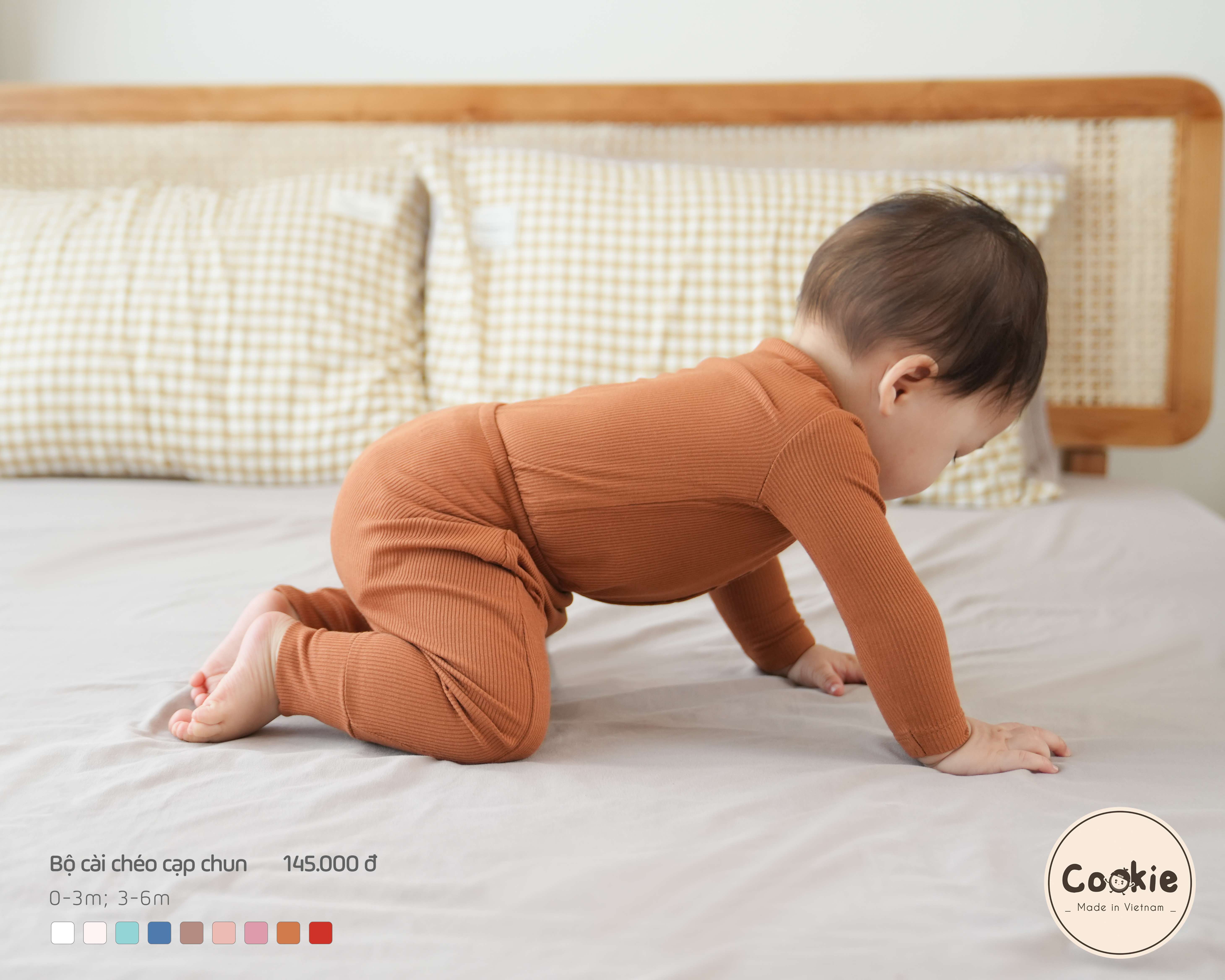 Bộ Cookie cài chéo cạp chun — ảnh 17