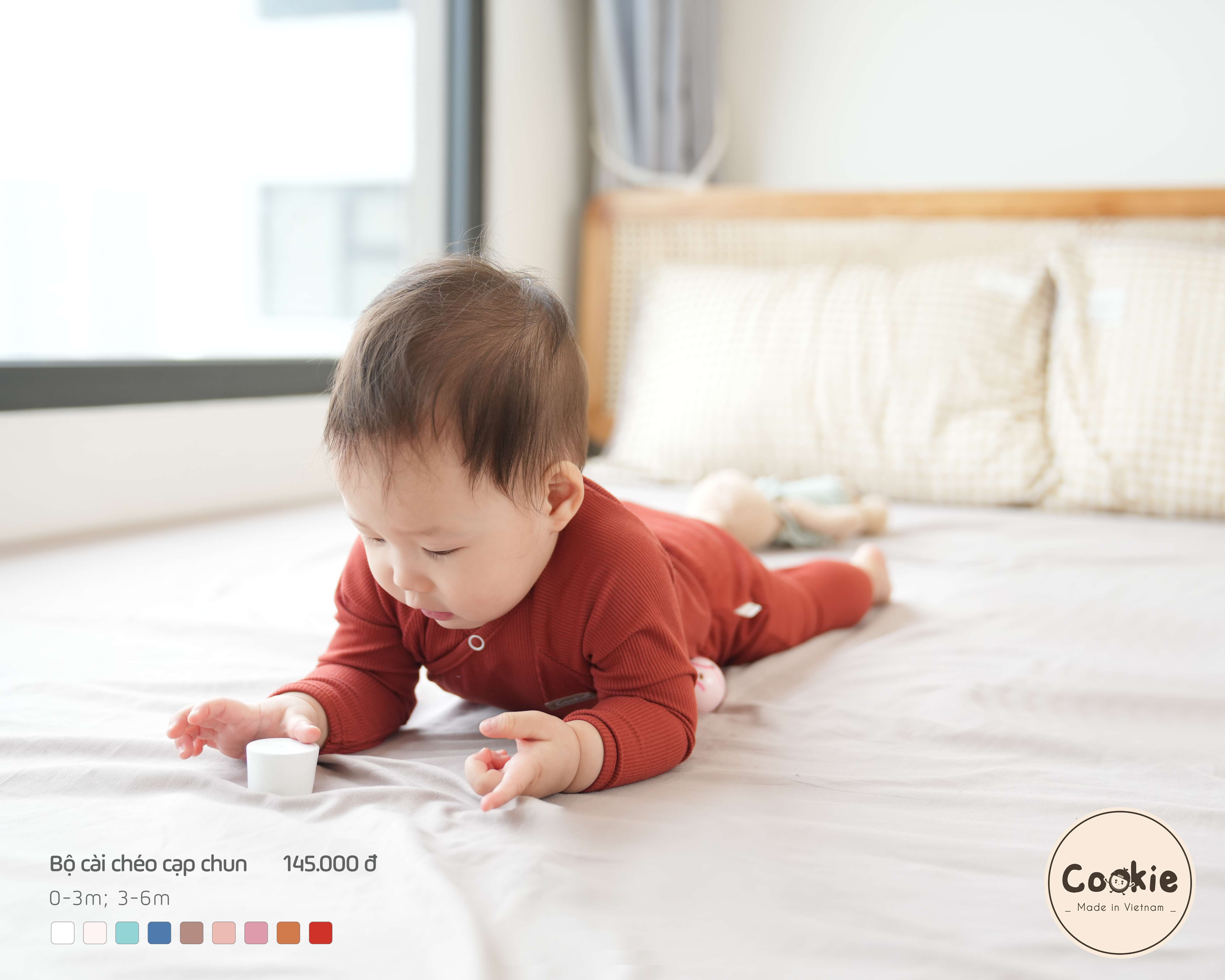 Bộ Cookie cài chéo cạp chun — ảnh 23