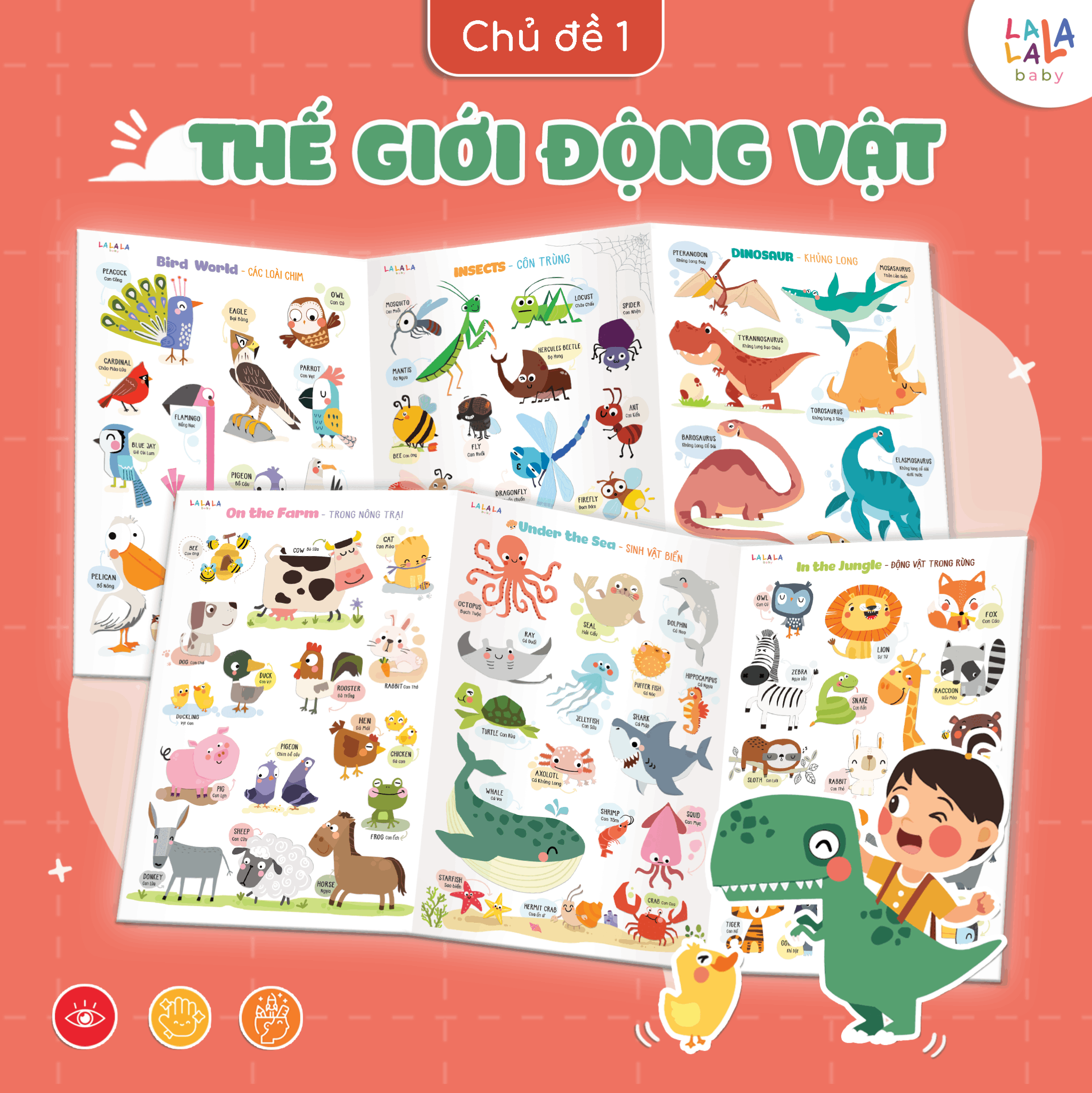 Bảng gấp thông thái My first learning chart