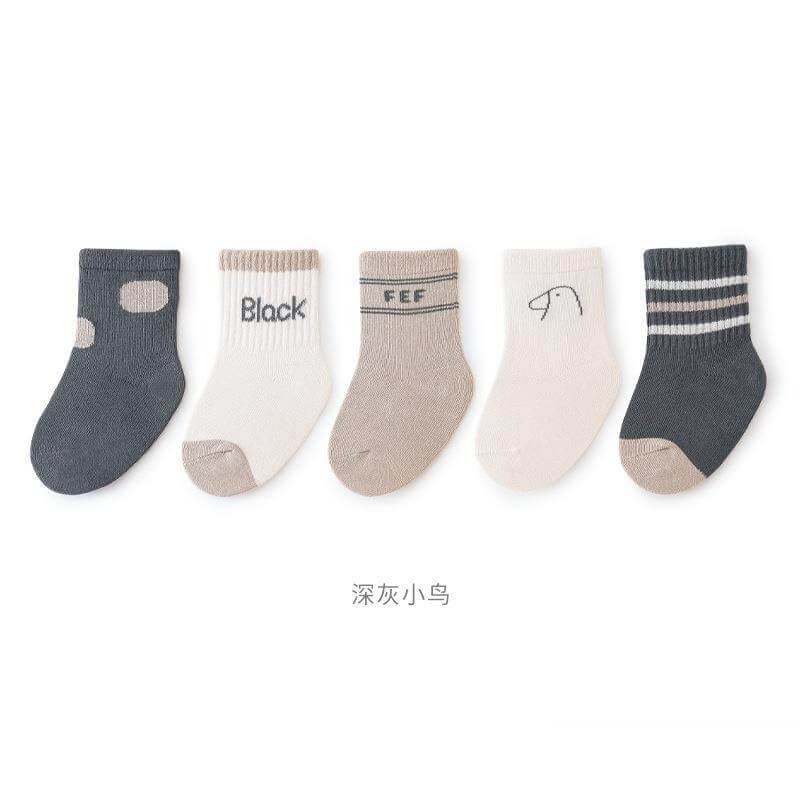 Set 5 đôi tất thu Babysock phong cách trường học — ảnh 4